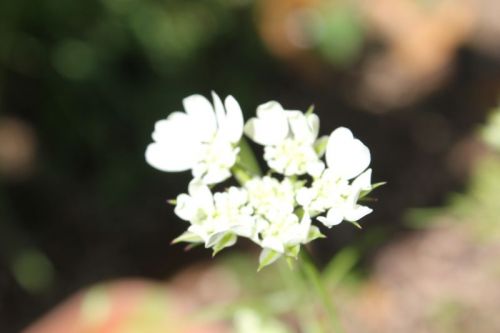 JPG 800x533 29.8kb