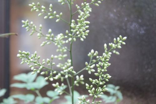 JPG 800x533 49.7kb