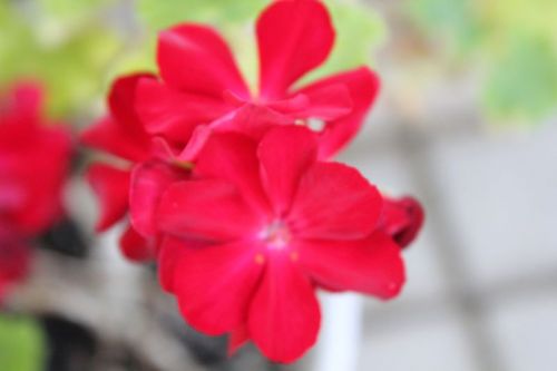 JPG 800x533 30.8kb