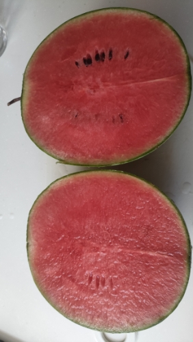 JPG 282x500 92.6kb