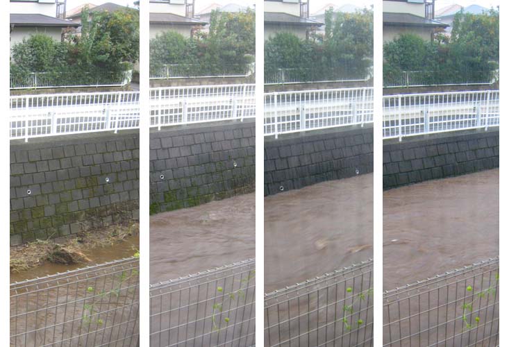 JPG 733x500 75.1kb