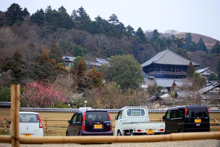 JPG 750x500 99.1kb
