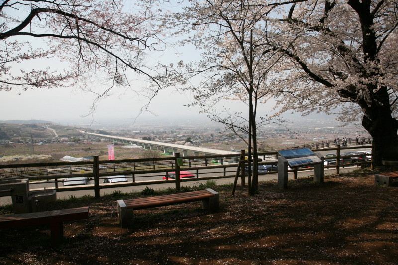 JPG 800x533 207.5kb