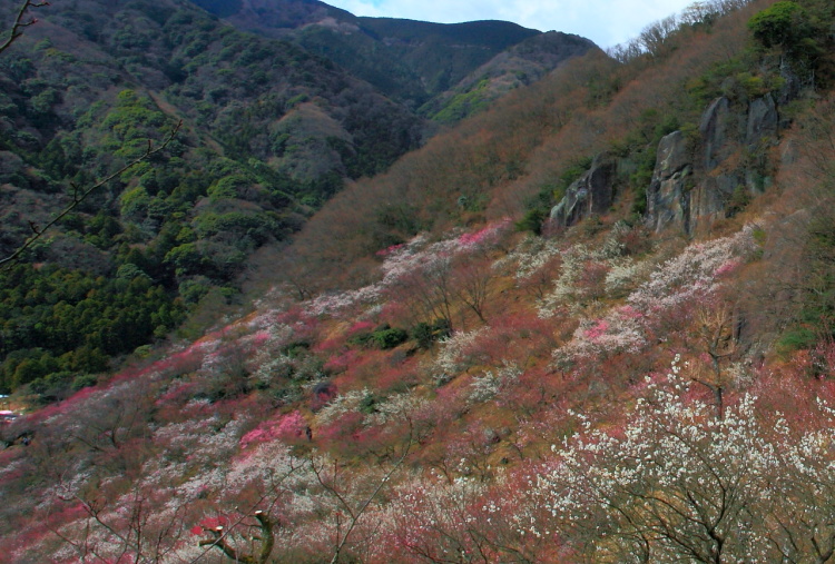 JPG 750x507 228.7kb
