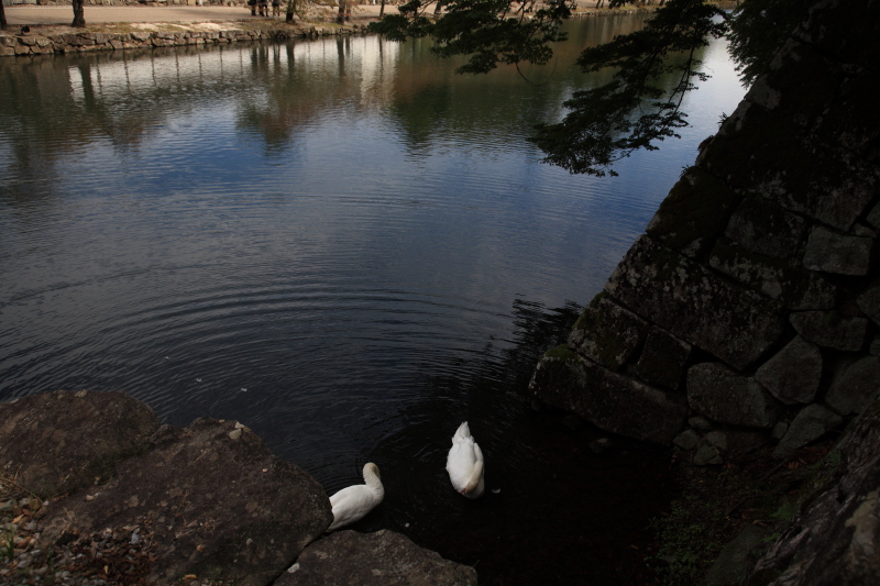 JPG 800x533 265.1kb