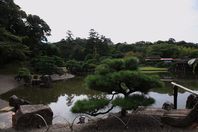 JPG 800x533 267.1kb