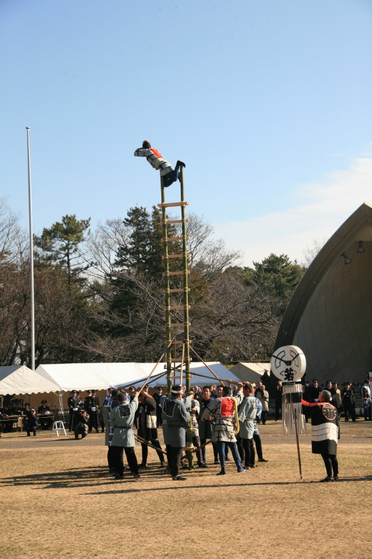 JPG 533x800 141.0kb
