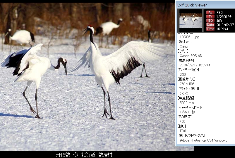 JPG 803x538 304.0kb