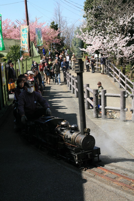 JPG 533x800 184.6kb