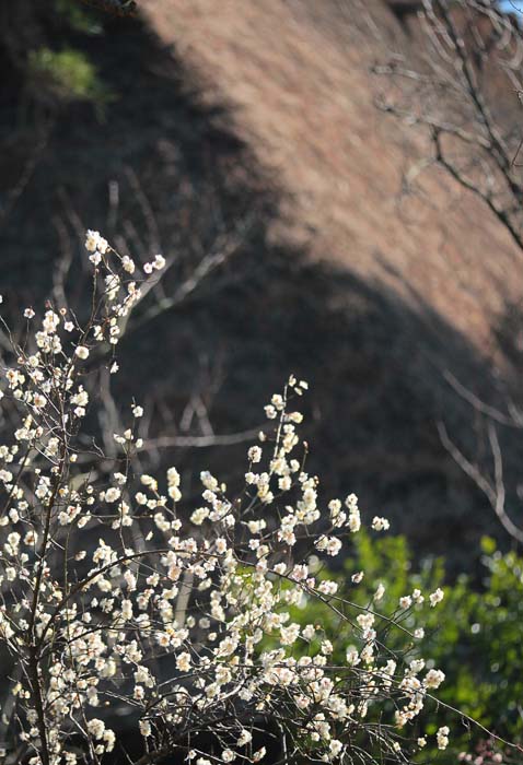JPG 478x700 92.8kb
