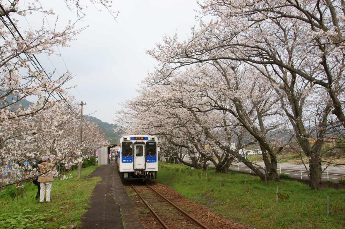  915.jpg
