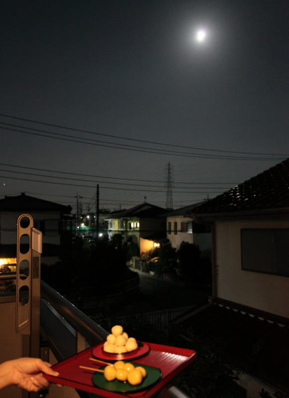 JPG 581x800 97.8kb