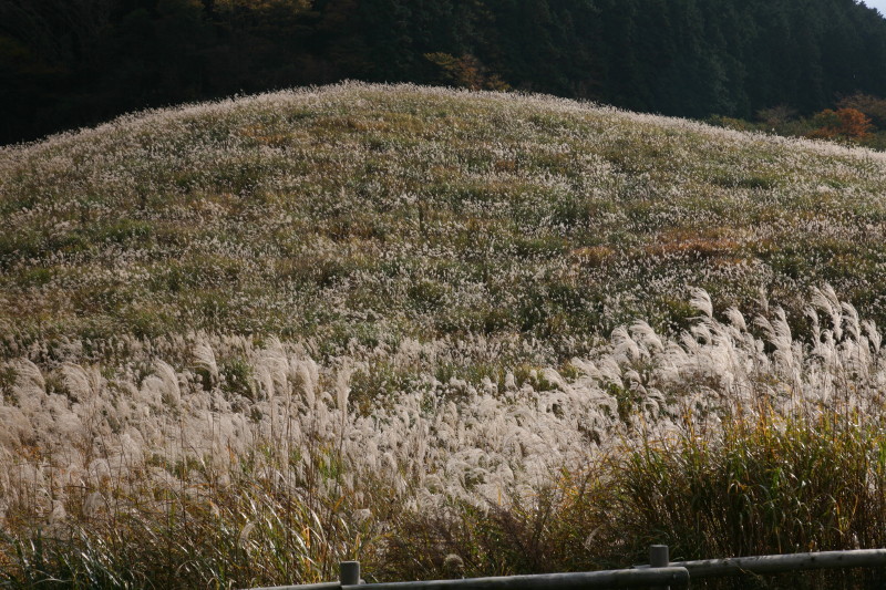JPG 800x533 216.3kb