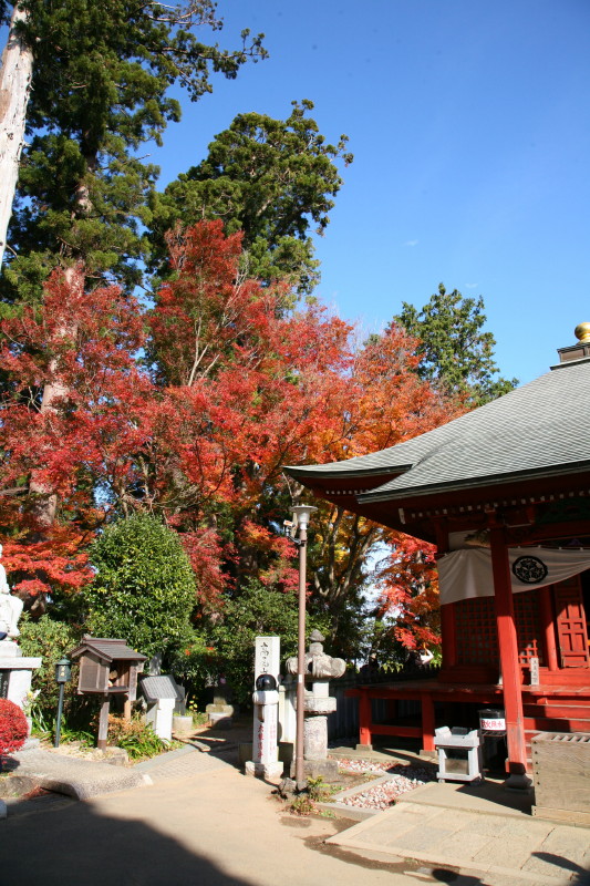 JPG 533x800 206.2kb