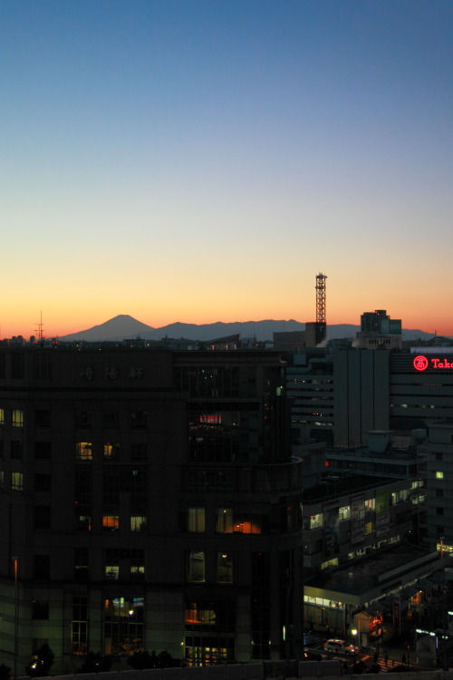 JPG 500x750 75.2kb