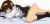 PNG 1500x720 584.6kb
