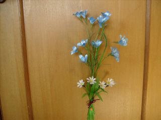 JPG 640x480 140.9kb