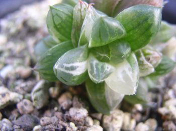 JPG 2288x1712 643.2kb