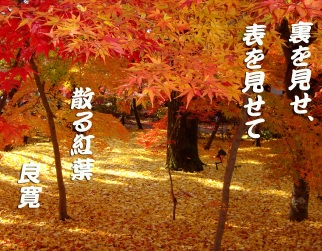 JPG 322x251 59.2kb