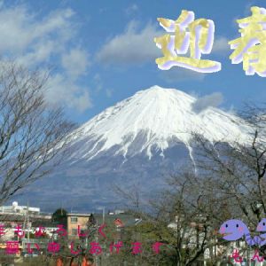 JPG 600x450 62.1kb