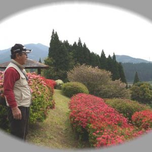 JPG 600x400 86.5kb