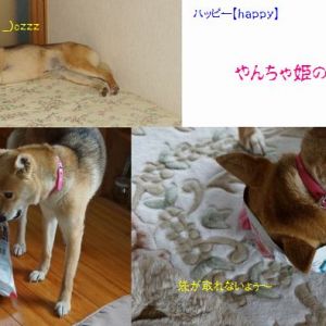 JPG 640x395 47.3kb