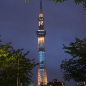 JPG 525x700 58.7kb