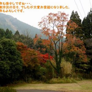 JPG 600x400 112.3kb
