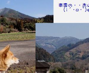 JPG 600x247 33.8kb