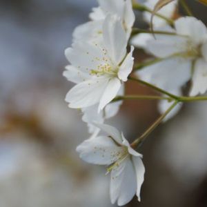 JPG 600x338 65.9kb