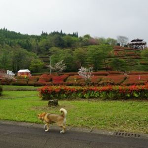 JPG 600x338 90.1kb