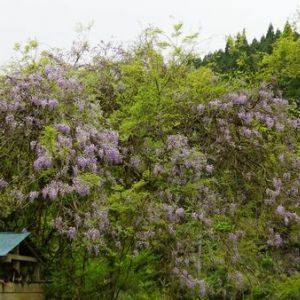 JPG 600x338 111.9kb
