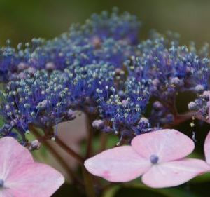 JPG 500x281 72.4kb