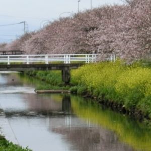 JPG 525x345 76.2kb