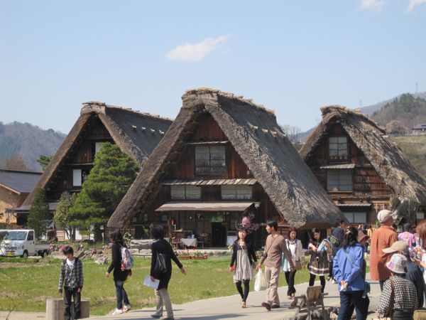  95.jpg