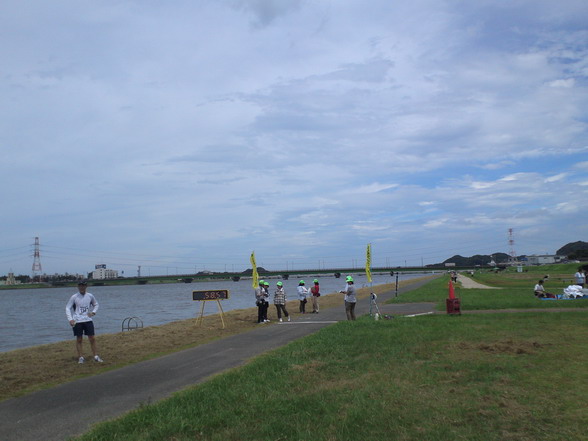 536.jpg