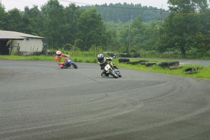  12.jpg