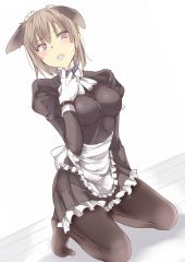 JPG 752x1062 97.4kb