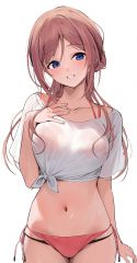 JPG 2032x3906 1913.6kb