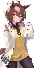 JPG 1065x2100 299.6kb