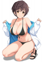 PNG 2591x3624 3006.5kb