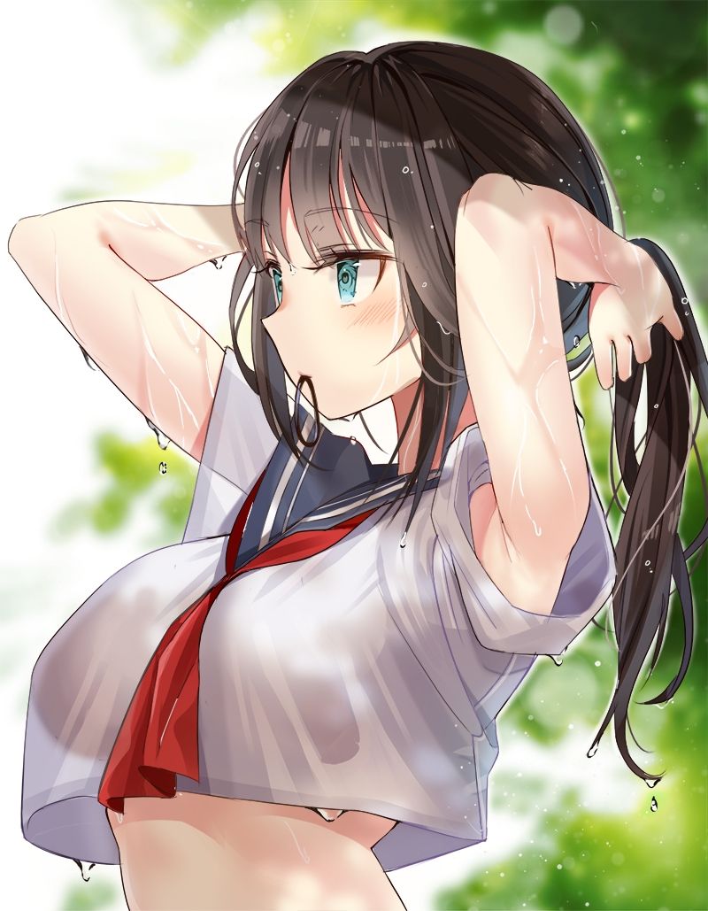  37134.jpg