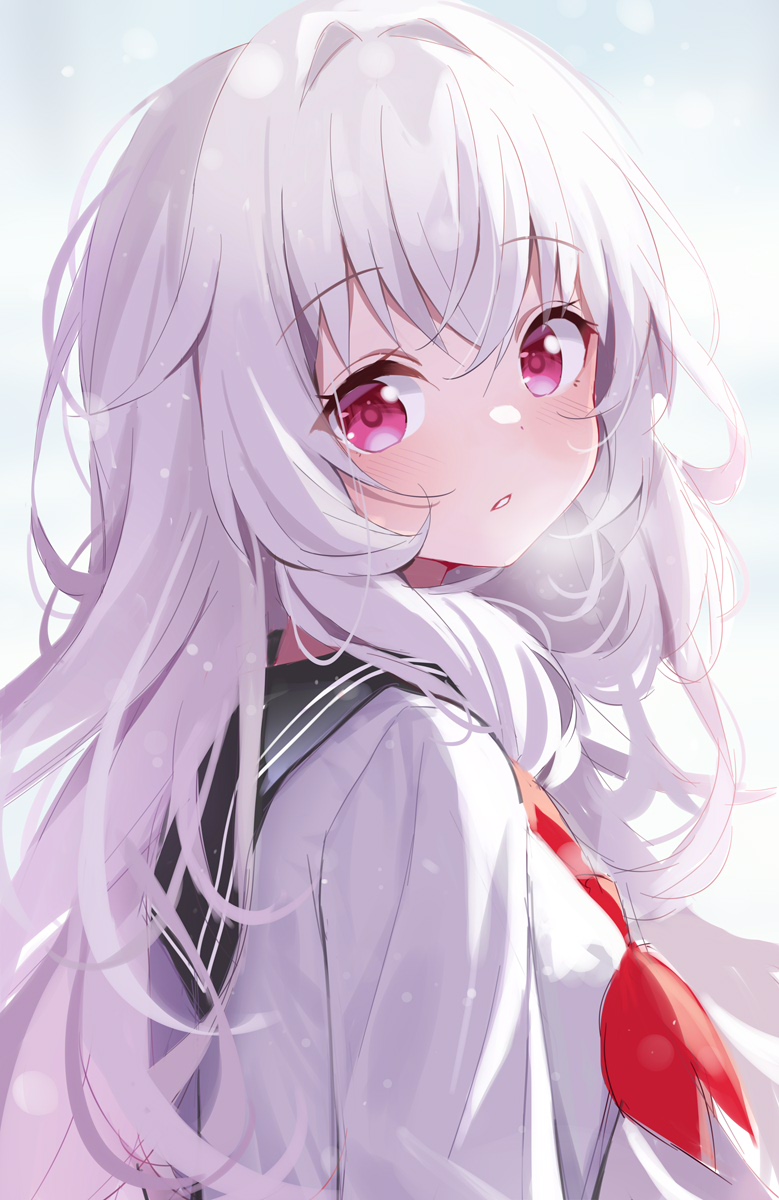  37255.jpg