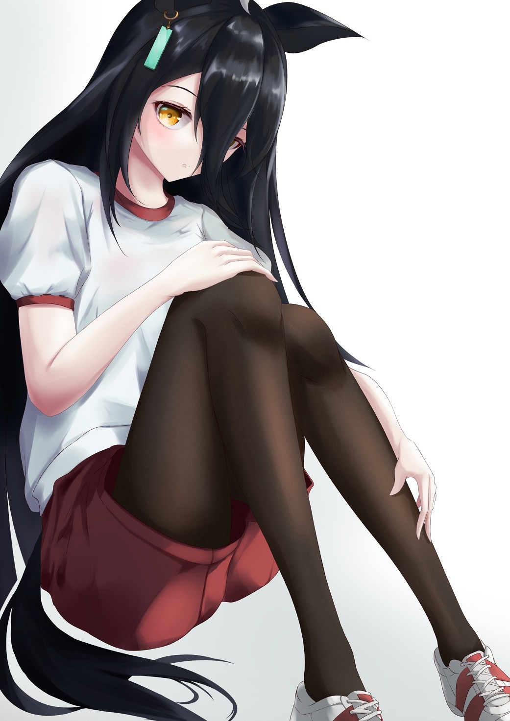  37286.jpg