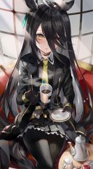 JPG 1102x1996 413.9kb
