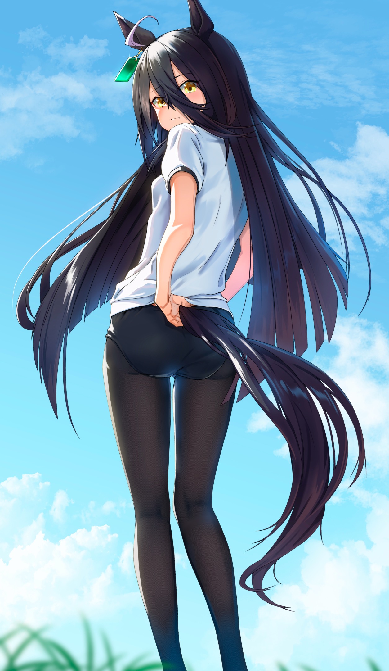  37352.jpg
