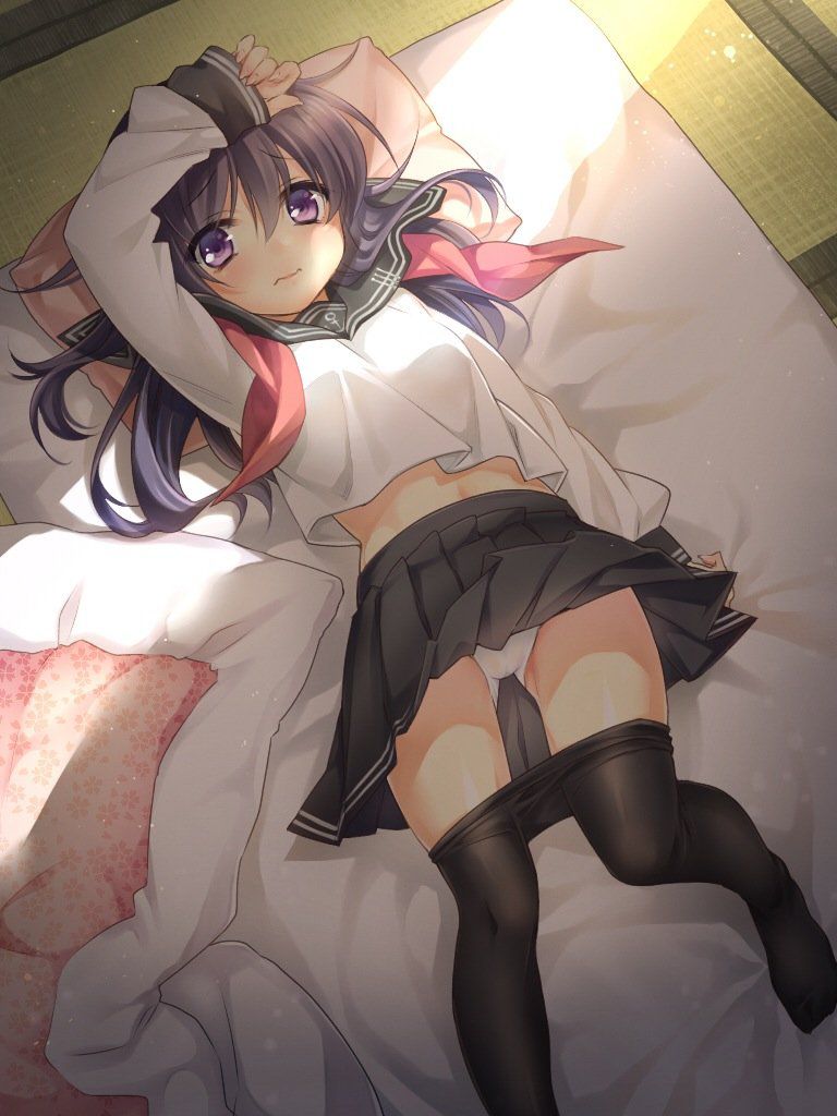  37905.jpg
