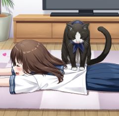 JPG 1026x1000 223.9kb