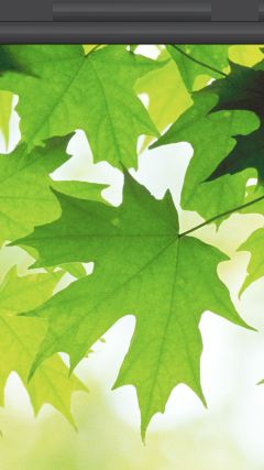 JPG 480x854 137.6kb