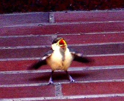 JPG 400x326 49.3kb